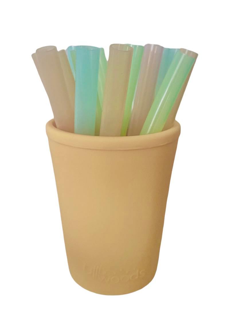 Additional/Replacement Straws For Cup (2-pk)